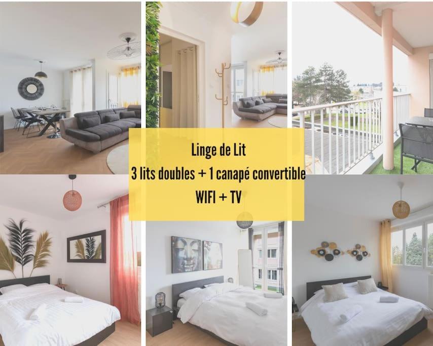 Cabana & Le Grand Appartement Lumineux Macon Bagian luar foto